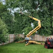 Best Tree Risk Assessment  in Metlatla, AK